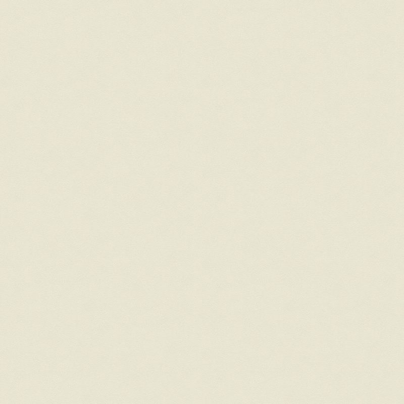 PP691